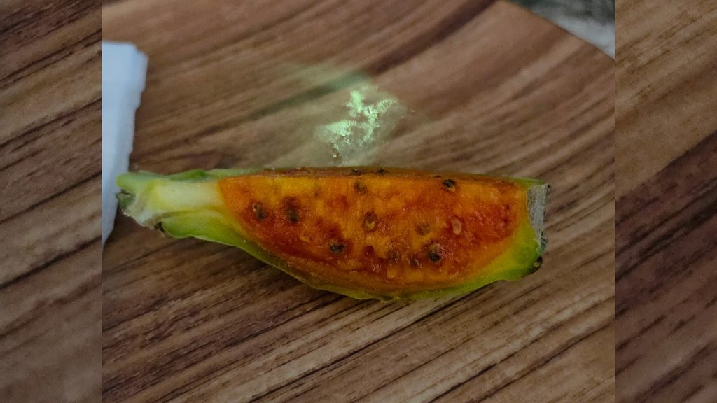 Ultimate Guide to Fruits and Juices of Colombia - with 40+ Stunning Pictures 35 Higos or Tuna Photo Credit Margarita Ibbott 1