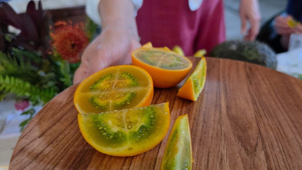 Ultimate Guide to Fruits and Juices of Colombia - with 40+ Stunning Pictures 38 Lulo Photo Credit Margarita Ibbott