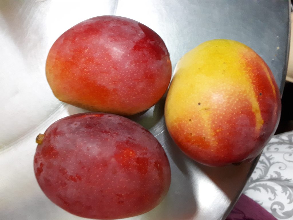 Ultimate Guide to Fruits and Juices of Colombia - with 40+ Stunning Pictures 29 Mangos Photo Credit Margarita Ibbott