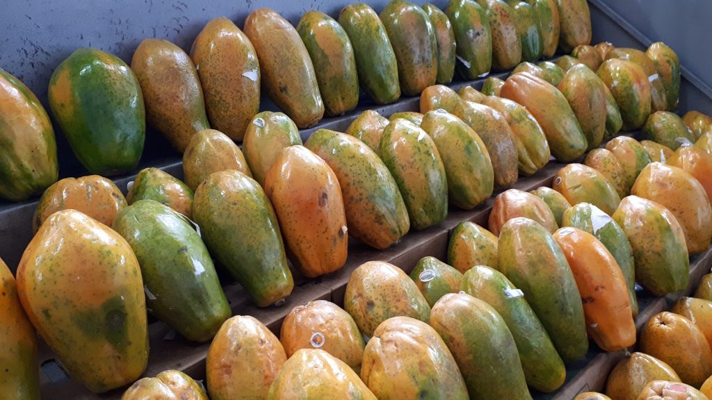 Ultimate Guide to Fruits and Juices of Colombia - with 40+ Stunning Pictures 37 Papaya Chia Fruit Market Photo Credit Margarita Ibbott