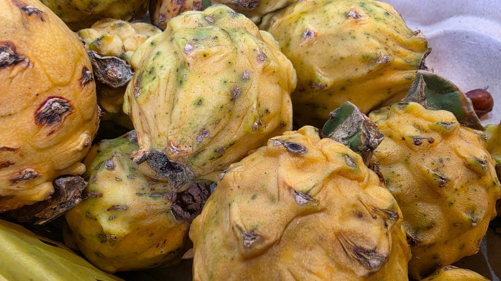 Ultimate Guide to Fruits and Juices of Colombia - with 40+ Stunning Pictures 39 Pitaya Amarilla Photo Credit Margarita Ibbott 1