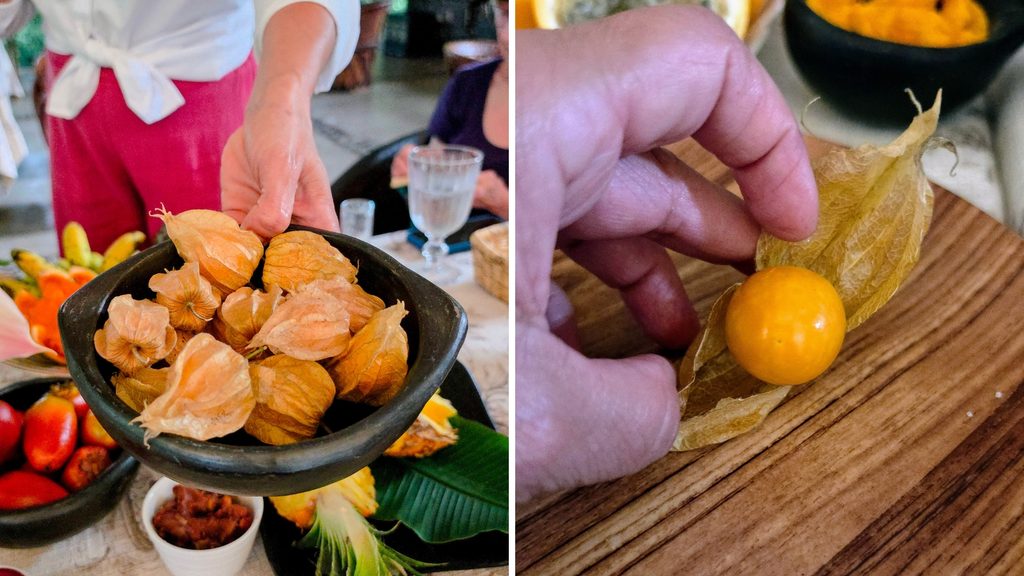 Ultimate Guide to Fruits and Juices of Colombia - with 40+ Stunning Pictures 45 Uchuva Photo Credit Margarita Ibbott 1 1